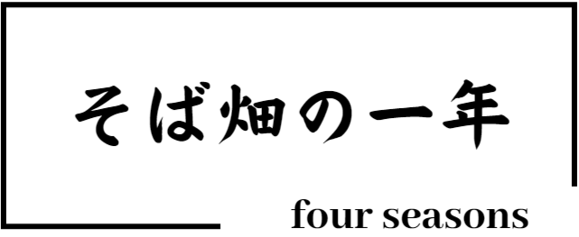 そばの一年