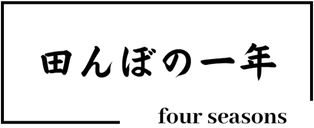 たんぼの一年